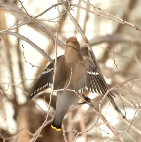 ���������� � ����� � ������ �����, �������� ������ �� ������ ������� � ������ ������� ������ ������