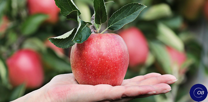 Как получить богатый урожай без лишних усилий на даче