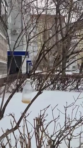 � �� �������� �������� ��� ����?