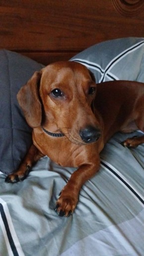 ��������� �������. ������� ������, ��� � ��� ����� ��������� � �������� ���� �����! : ����� ���������� �������� � ������������ ������������ ����� �������� ��������