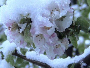 ������ ���� ��� �������� ����� ����� ������� ��� ������?