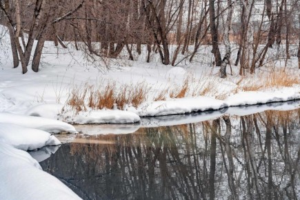 ������������� ������ ����� � �����������