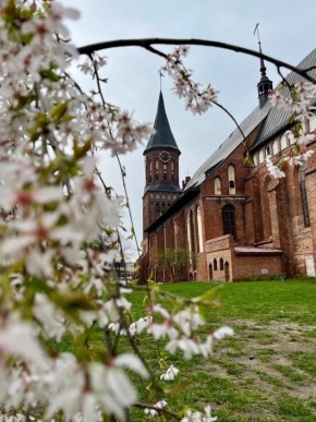 ���� �������?. ���-5 ����������� ��� ��������� ������: 1