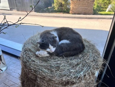 ������ ����!. 17 ����� ��������� ������������ ����������� ������� -2...+5 �C ��������� ������������ ���������� ����������, ��� �������