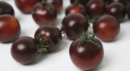 �������� ����: ���-16 ������� ��� �������� �������