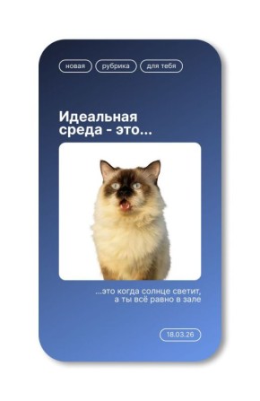 ����������� �� ���� ��������