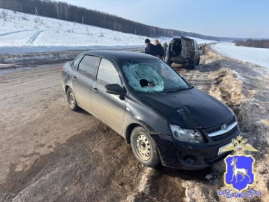 17 ����� �� ���������� ������� ���������������� 12 ���, � ������� ���������� 12 �������, 1 - �����