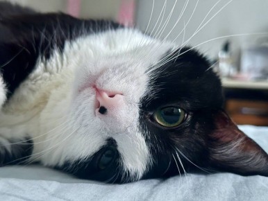 ������ ����!. 19 ����� ��������� ������������ ����������� ������� +4...+9 �C ��������� ������������ ���������� ����������, ��� ������� ����� ������-���������, ���-���������, 2...7 �/� �� ������������ ����� ���������, ���� �...