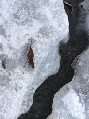 ������ ������, ����� ����������