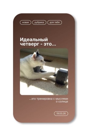 ����� - ������ ��������������