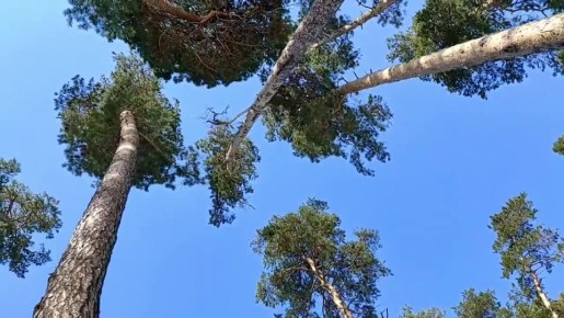 ������������� ���, ����!� ������� � ������������� ���� �����