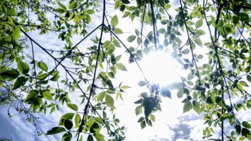 ��������� ����������, ������ ����� ��������� �������� ����� 2026 � ��������� �������