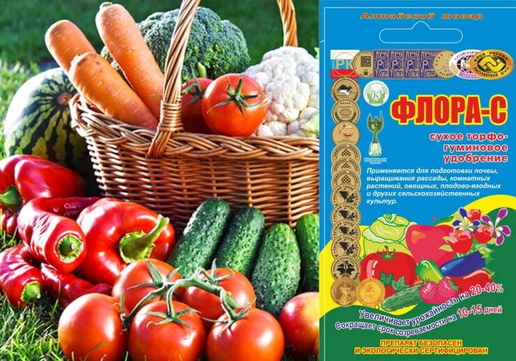 Как вырастить экологически чистый урожай и восстановить почвенное плодородие