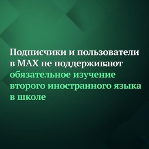 Председатель ГД Вячеслав Володин в своём канале в MAX проводит опрос по теме возможного обязательного изучения второго иностранного языка в школе