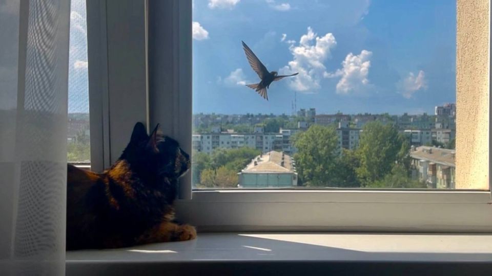 �������� ���������� � ������ ������ ��� ����������� �� ������� ������� �������