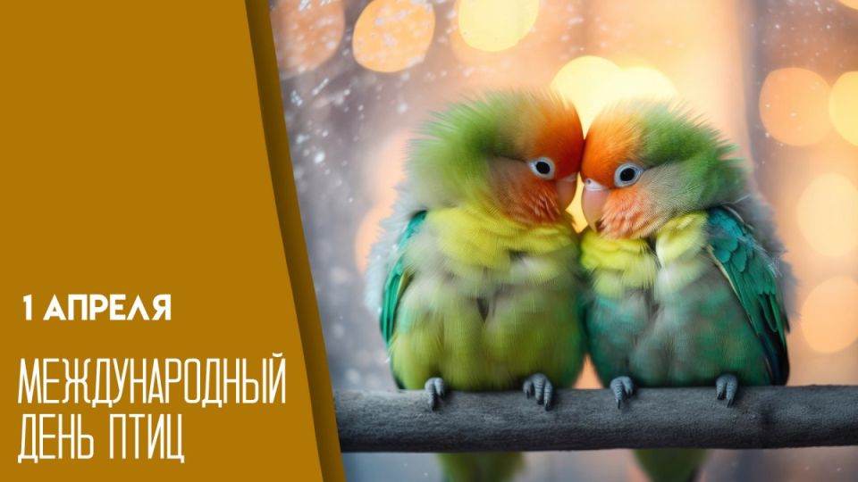 1 ������ � ������������� ���� ����