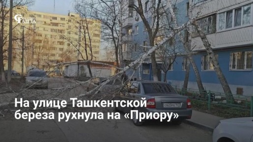 ����� 1 ������ �� ����� ���� �210 �� ����� ����������� � ������ ����� ������ ������� �� �������������� ����� ������, �������� ����� ����������