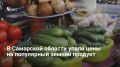 В марте в Самарской области заметно подешевели огурцы: их средняя цена снизилась с 259 до 214 рублей за килограмм