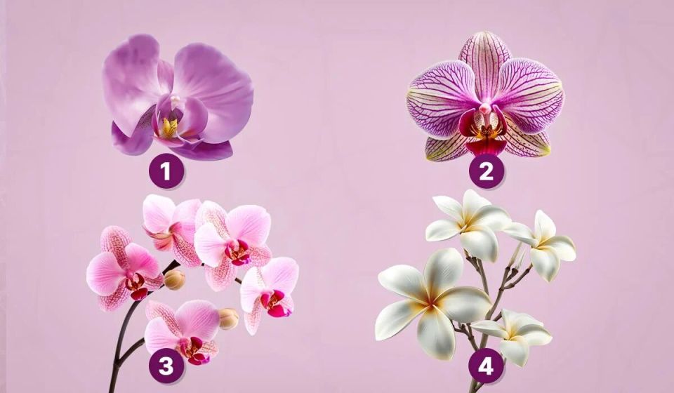 ��� ������� ����� �������� ���� ��������