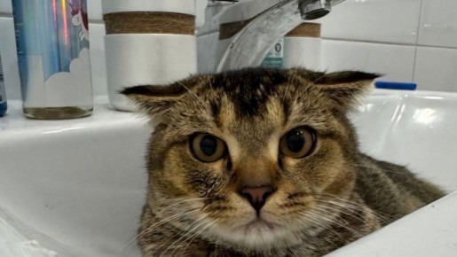 � ������ 1 ������ �������� �������� ���� �� 12 ������