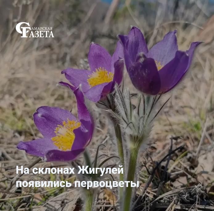 �� ��������� ������� ����� ������� ������� ������� ����������