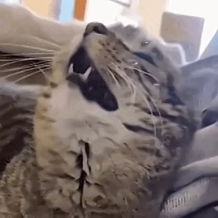 ���������� ����� ��������� �� �������� ������