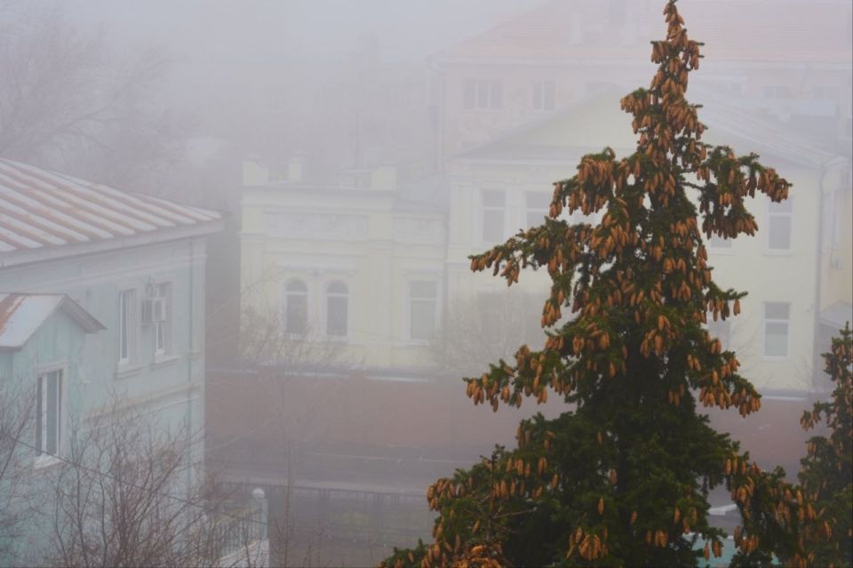 �� ����� � ������. ����� ������ ����� ���� �����