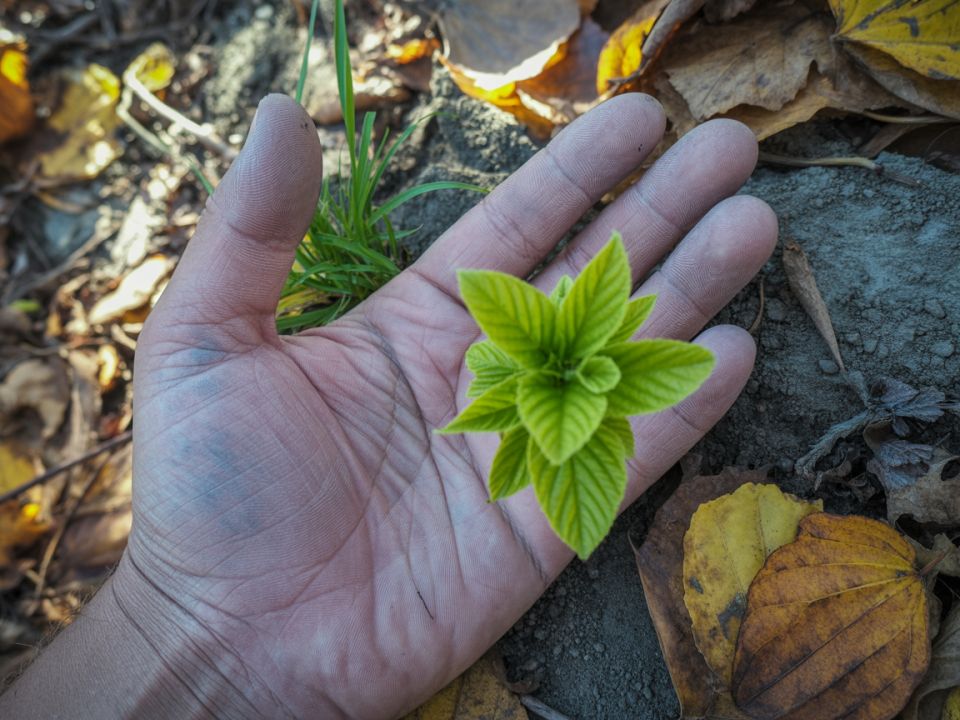 ��� �������� ���������� �� �������: ������� ������� ��� �����������