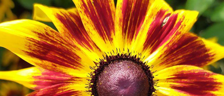 ��������: ������� � ������ ��� ������ ����