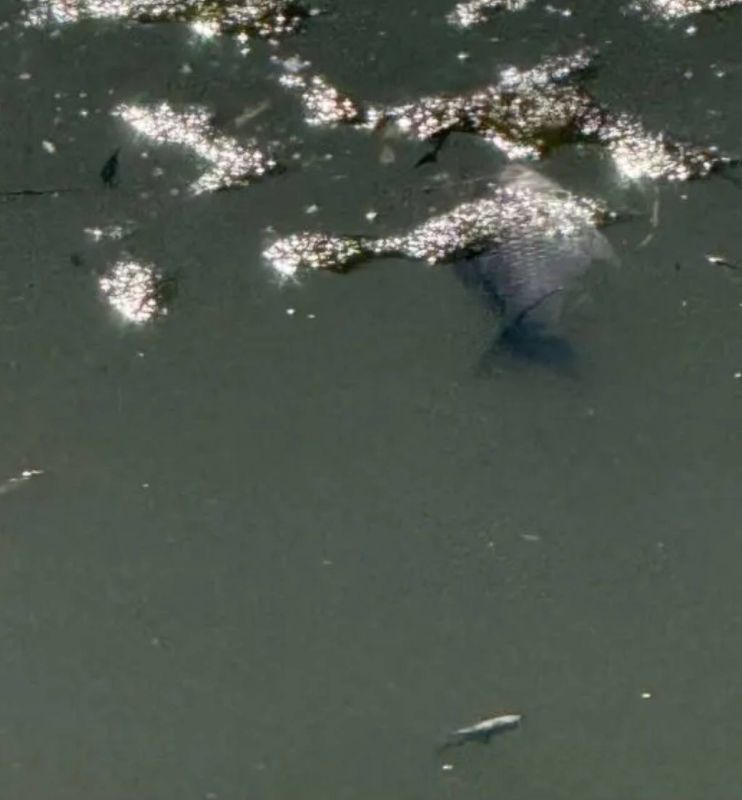 �������� ������ ���� � ������� � ������