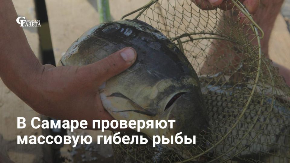 �� ��������� ������� � ������ ������� ������ ����