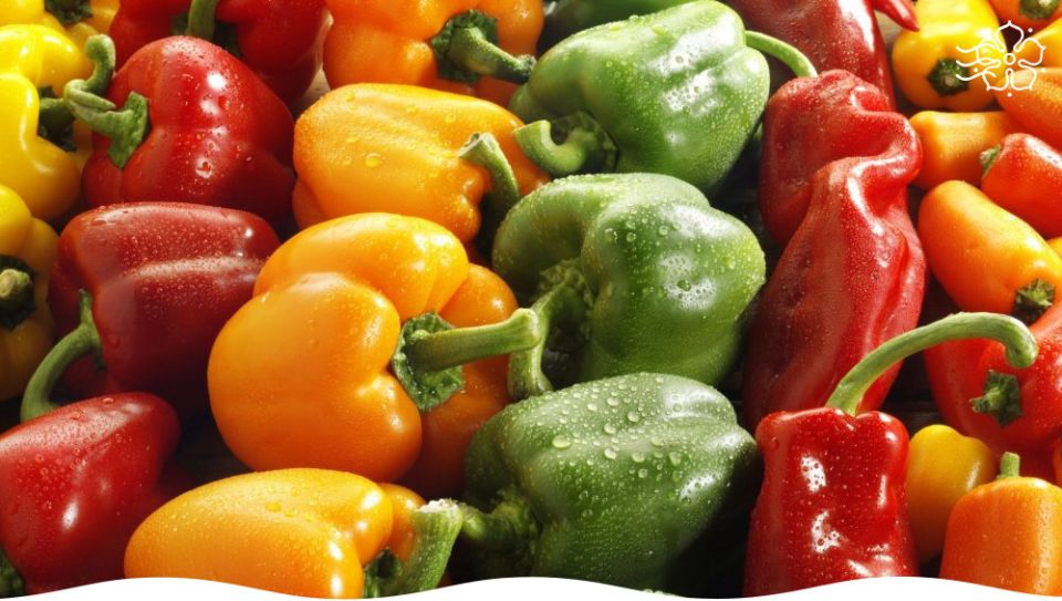 ������������ ��� �������� �����: ����� ����� ��� ������ ����