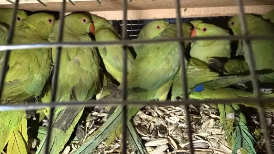 ��������� ����������� ����� � ������������� ����� 100 ������������ ���� ��� ����������