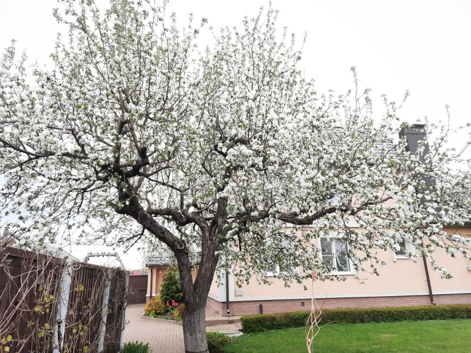 ������ ����� ������� �� ������ �������� ��������