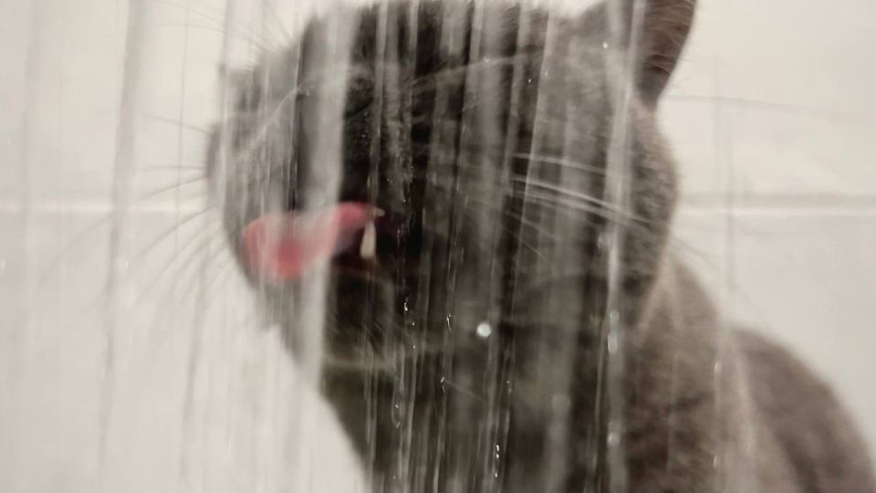 4 ������ ��������� ���� � ������ ��������� ��� ����