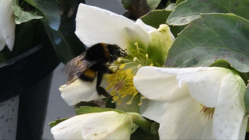 ������ ����!. 5 ������ ����������� ������� ���������� �� +8...+16�C ��������� ������������ �������� ������, ������� ��������� ����� ����� ���-���������, 1...4 �/� ���� ������ MAX l�� l�� l����