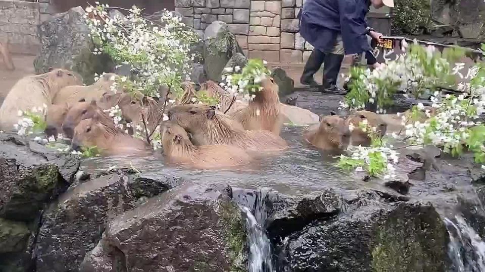 ���� � ��� ���, ��� ��� �������� � �������� ��������