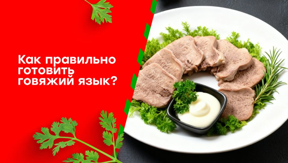 ������� ����: ������� ���������� ������������� � �������������� ������