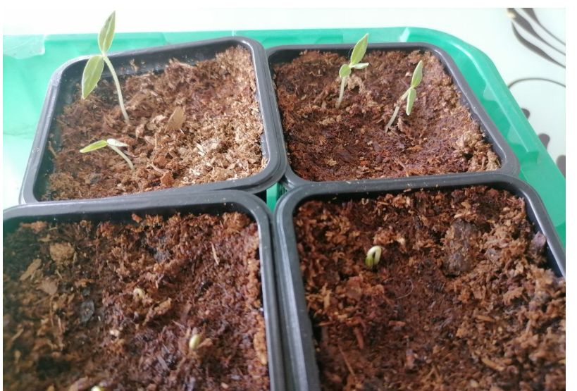 ������ �� ������� ����� � ���������? ��� ��� ����� �����