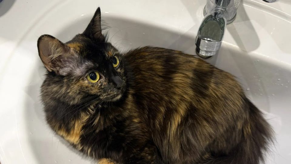 6 ������ �������� �������� ���� �� ���������� ������ ������