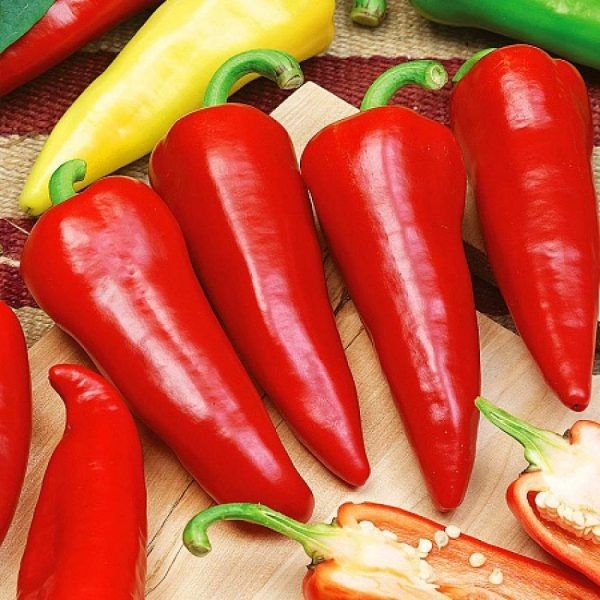 ����� ������: ��� ��������� ������ ���� � ������ �������