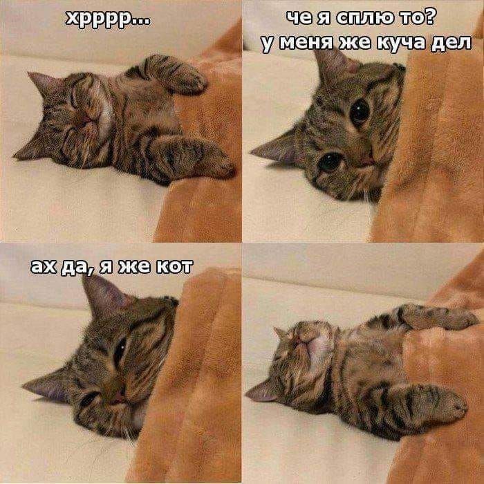 ������ ����, ������!. �� ����� ��������, �� ������� ������� ��� - ����� ����� ����� � ����� ������