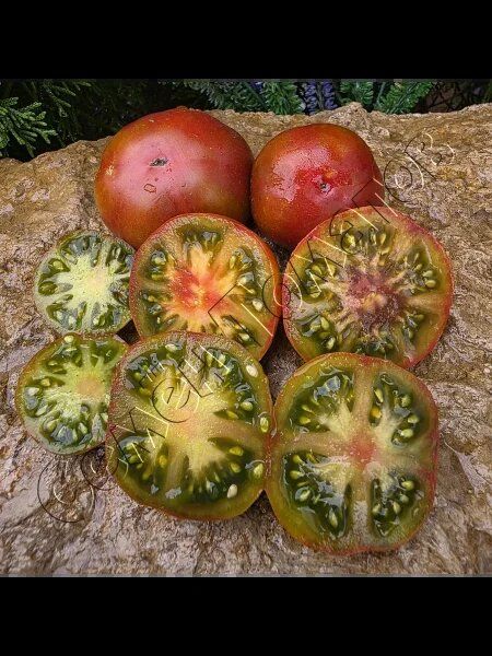 ����� ����� ������ ������: ���������� ���� � ���������� ������ � ����� ����