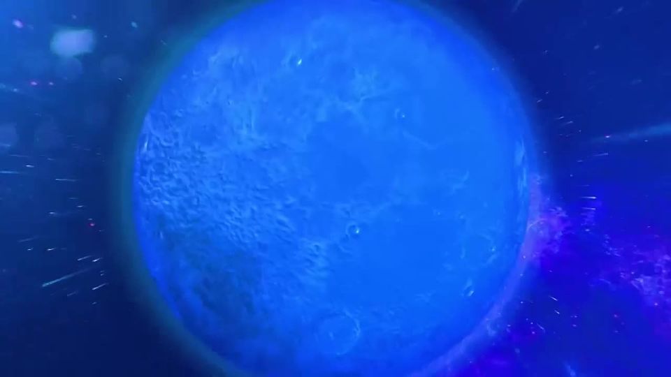 �� 30 ������ ��������� ����� ������ �� II ������������� ������������ �������� ������