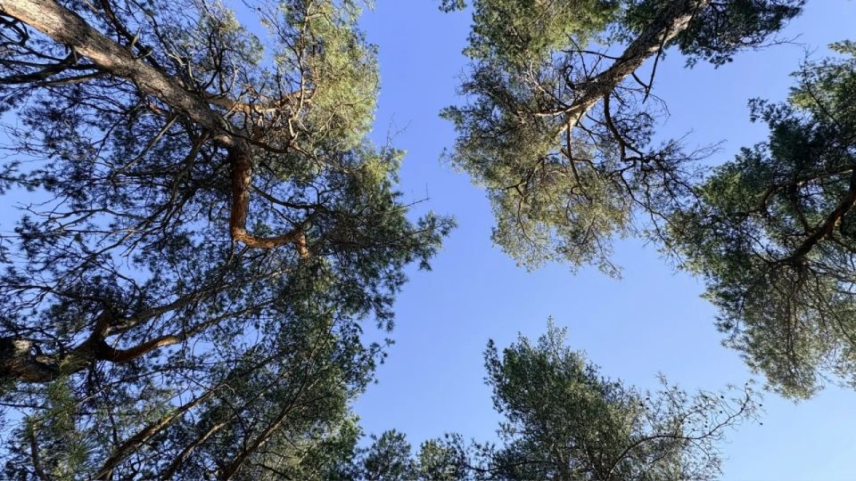 ������ ����!. 7 ������ ����������� ������� ���������� �� +13...+18 �C ��������� ������������ �������� ������ � ������������