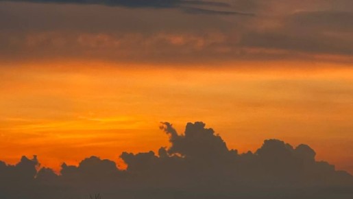 ������ ��������� ���� ��������� �� ������ 8 ������