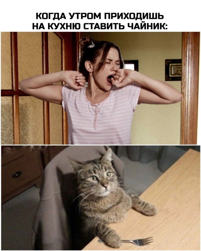 ���� ������ ����!. ������� ��� ��� �� ��������� ���������� ����������, ������� ������� ��������������� �����, �������� �����