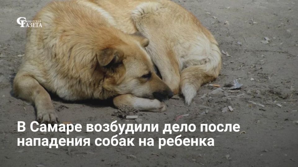 � ������ ��������� ��������� ���� �� ��. 238 �� �� ����� ��������� ���� ����� �� ������� �� ����� �������������