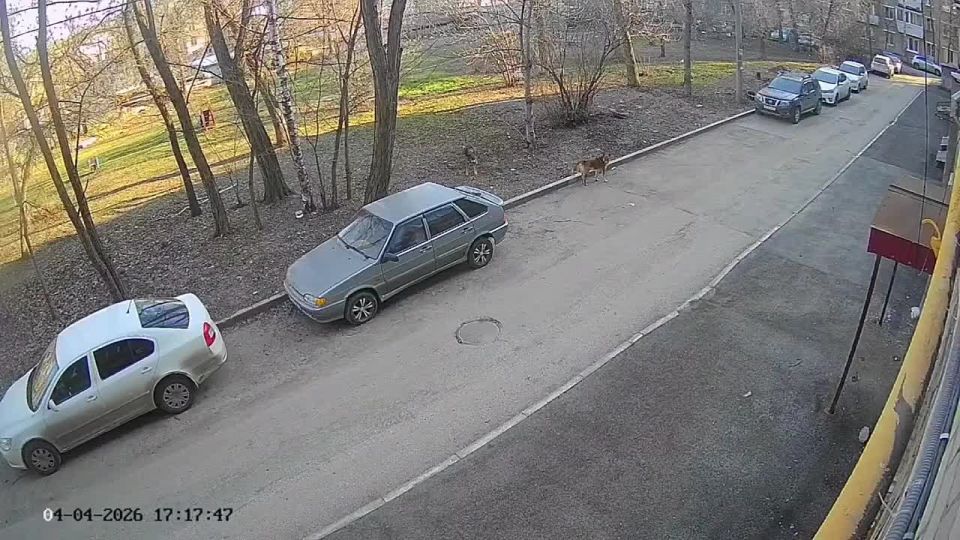 �������� ������ ����������� �� ������� �� ��. �������������