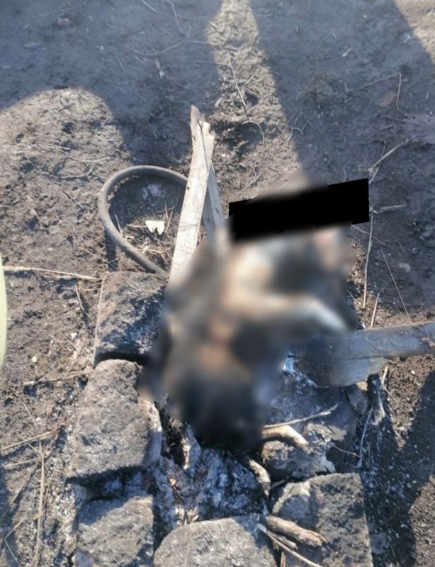 ���������� ���� ������ ����� � �� ���������� � ��������